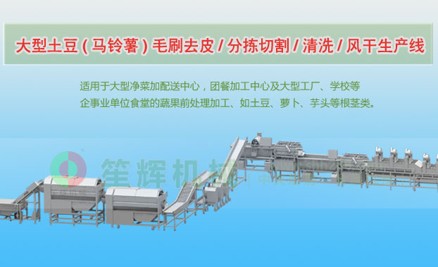 皋兰连续式土豆去皮清洗切割风干生产线